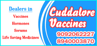 Cuddalore Vaccines in Chennai